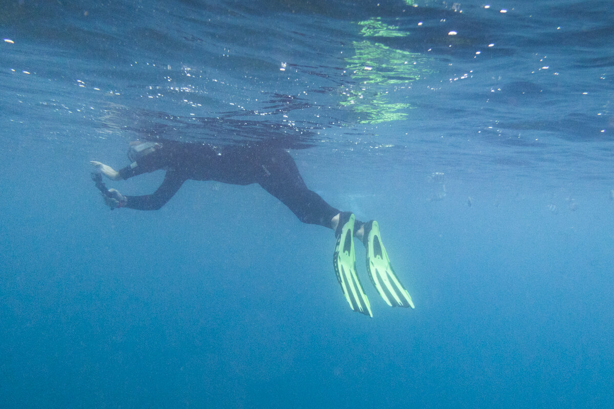 Nage sous l'eau en snorkeling