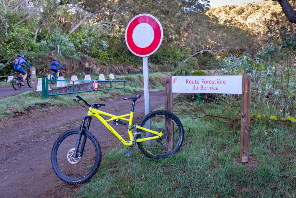 Route forestière du Bernica à La Réunion
