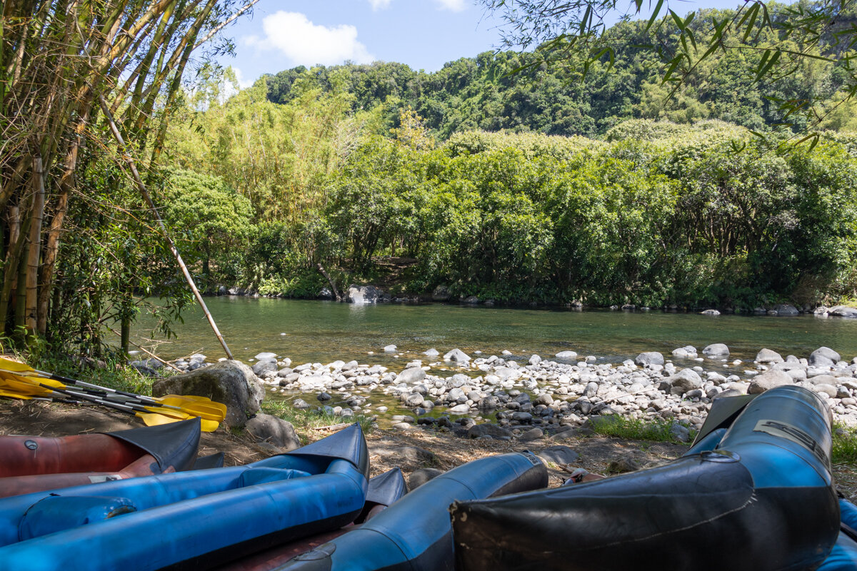 Canoés au bord de la rivière à La Réunion